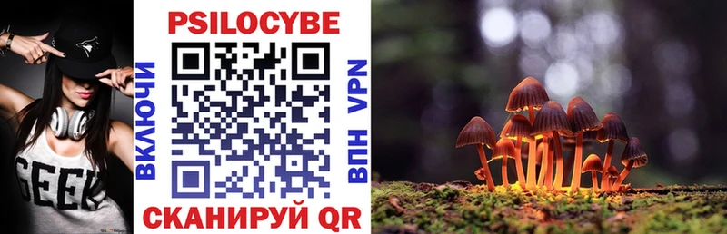 где продают Новоржев Галлюциногенные грибы MAGIC MUSHROOMS