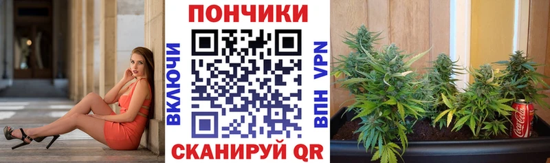 Бошки Шишки AK-47  ссылка на мегу ссылка  Новоржев 